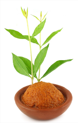 微信截图_20230309142628