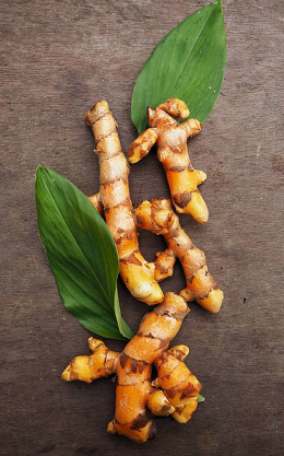 微信截图_20230309142634