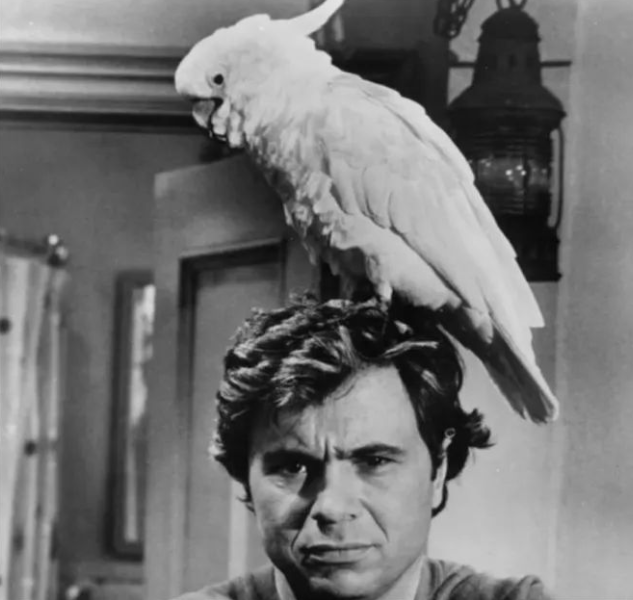 微信图片_20230313120530