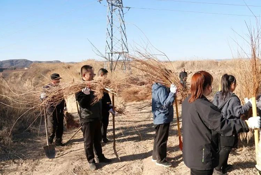 微信截图_20230313150054