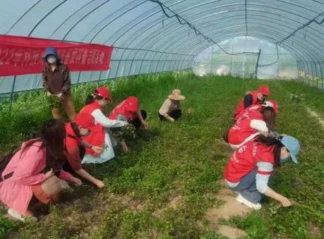 微信图片_20230315103308