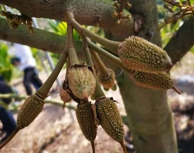 微信截图_20230315165502