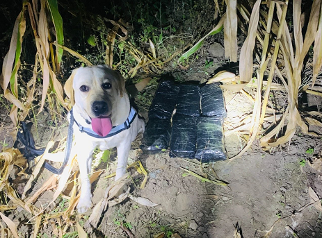 微信截图_20230316150037