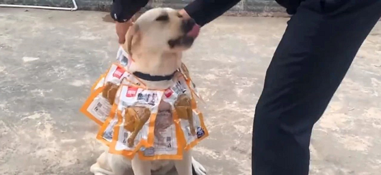 微信截图_20230316150044