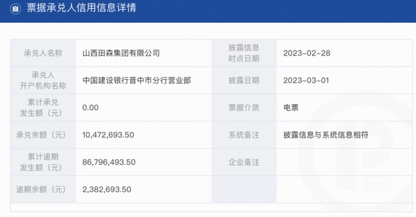 山西田森集团有限公司累计逾期8679万余元被通报