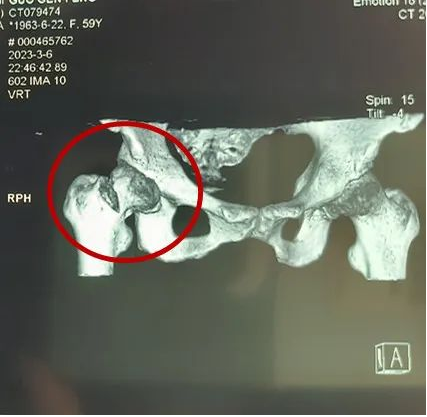 微信截图_20230322104225