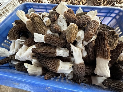 702e4999-317d-4366-9d3e-2e459ae87e9a