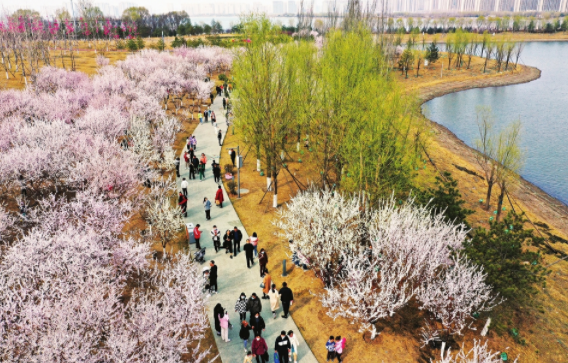 12953300_897f8804-8e28-4c2c-be89-a70bdece51b9