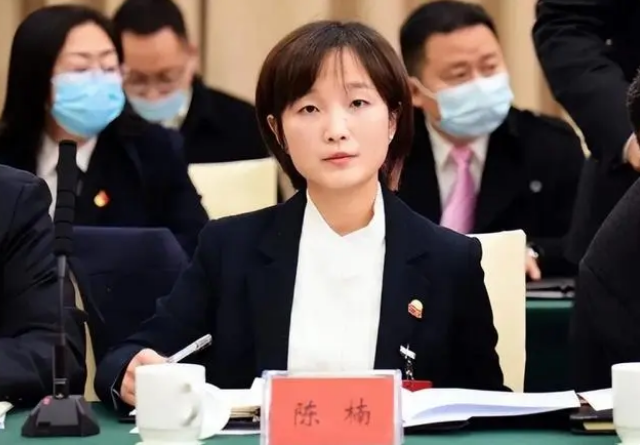 回顾90后美女成为“副市长”，学历颜值都竖大拇指，频频被人调侃