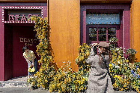 微信截图_20230327174644