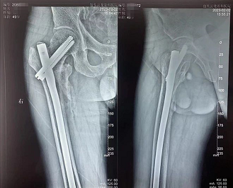 微信截图_20230330104303