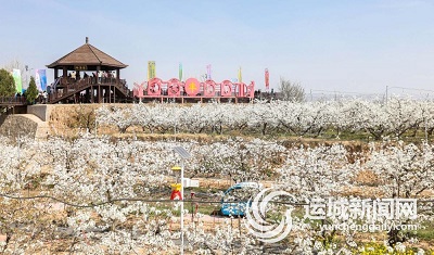 3db03044-4377-4f69-97e6-cd30c1b15136_watermark