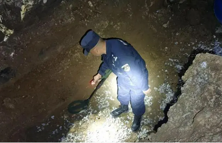 微信截图_20230331100954