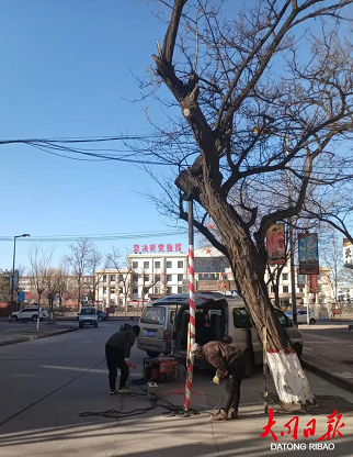 微信截图_20230331102355