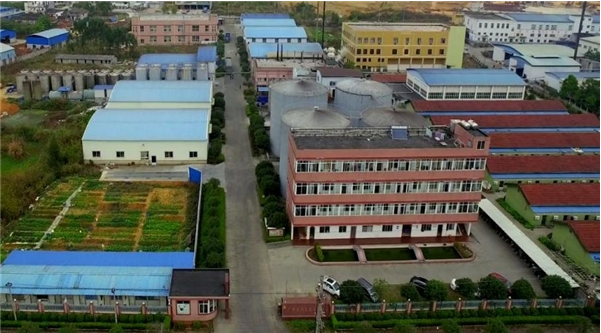 微信截图_20230331163941