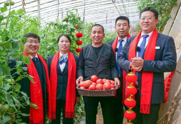 山西农信社创新金融服务，探索支持乡村振兴新路径——一县一亮点 “贷”来新动能