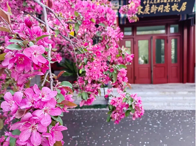 微信截图_20230407170021