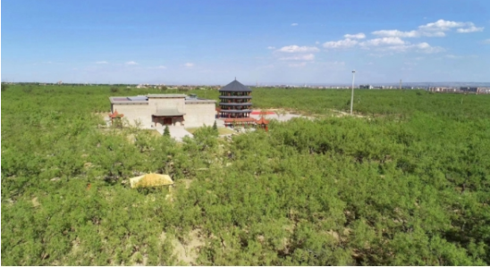 微信截图_20230427093202