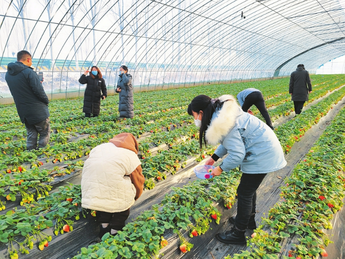 微信截图_20230427145704