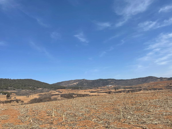 目睹了山西农村的传统土葬，和阴阳先生聊了很多日月。