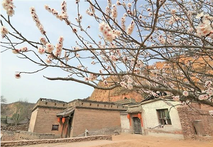 微信截图_20230505145805