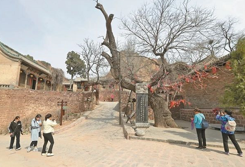 微信截图_20230505145818