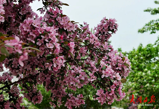 微信截图_20230509151058