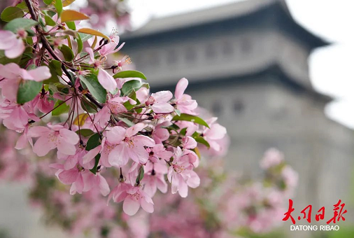 微信截图_20230509151111