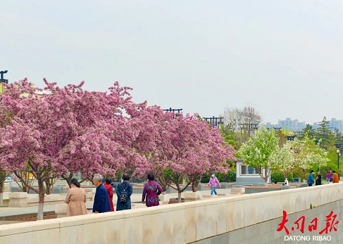 微信截图_20230509151133