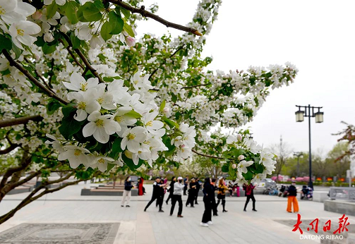 微信截图_20230509151144