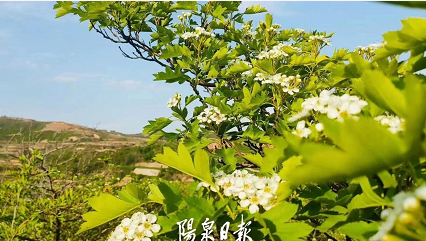 微信截图_20230516155242