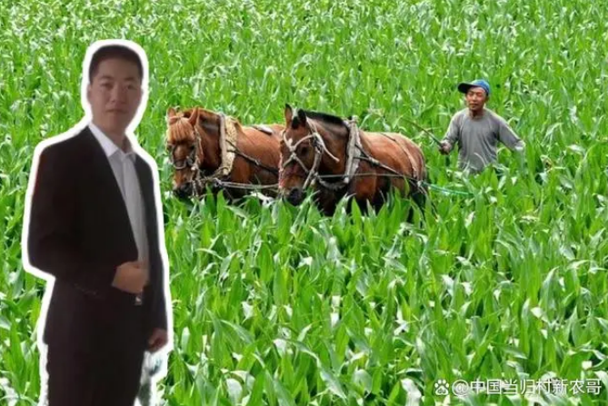 微信截图_20230517084801