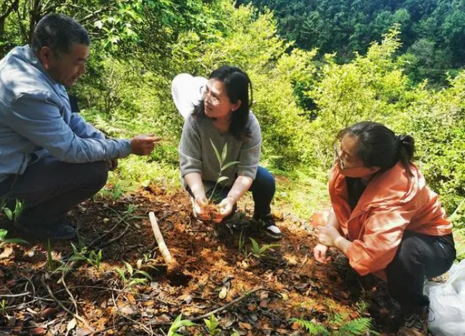 微信截图_20230517085011