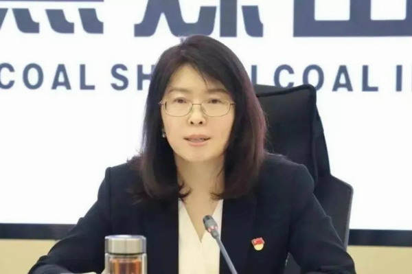 山西国资运营公司党委副书记、副董事长、总经理马凌云