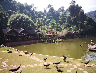 微信截图_20230519093724