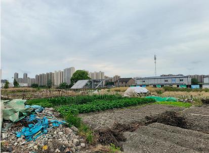 微信截图_20230523172953