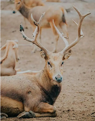 微信截图_20230524104140