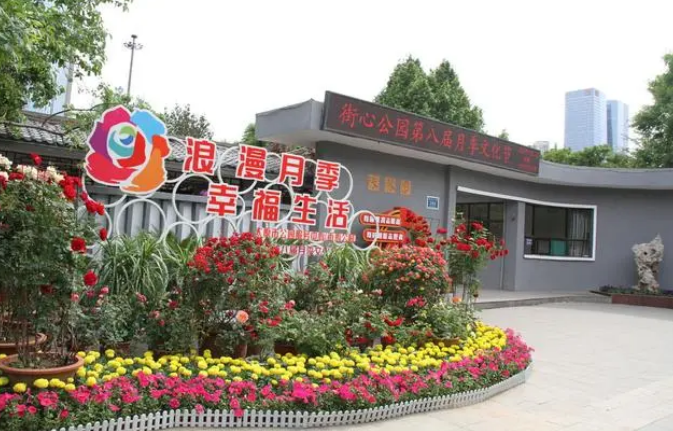 微信截图_20230525110926