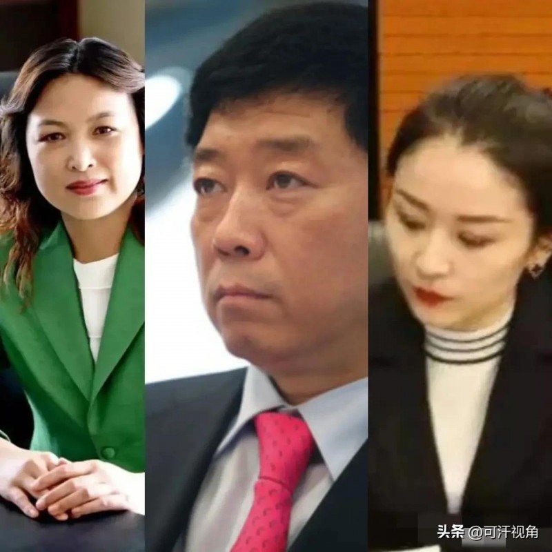 从长城如今的遭遇来看,富二代都学王思聪,反倒比较好