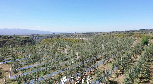 微信截图_20230613170157