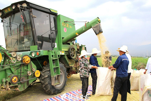 微信截图_20230613171257