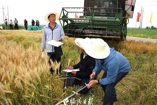 微信截图_20230613171322