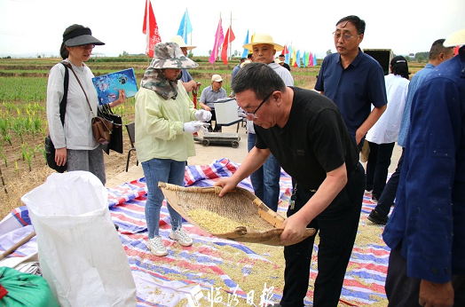 微信截图_20230613171329