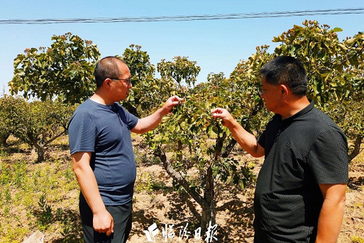 微信截图_20230614134154