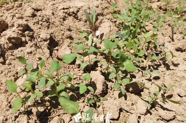 微信截图_20230614134201