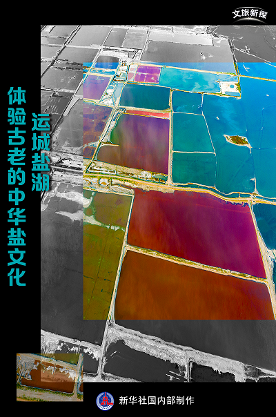 微信图片_20230615092844