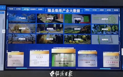 微信图片_20230615153456