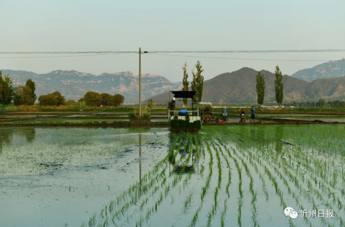 微信截图_20230615154548