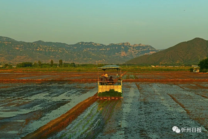 微信截图_20230615154558