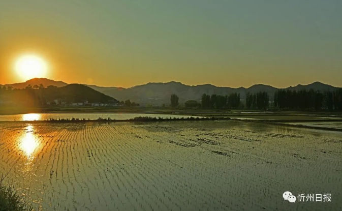 微信截图_20230615154607